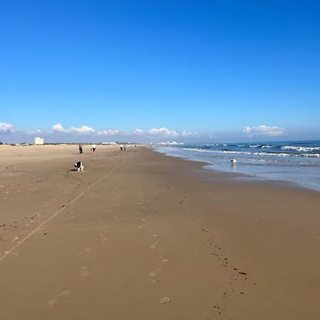 別荘 Casa Delsue House By The *